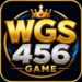 WGS456 Game